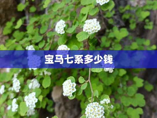 宝马七系多少钱
