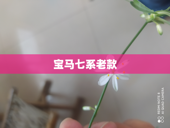 宝马七系老款