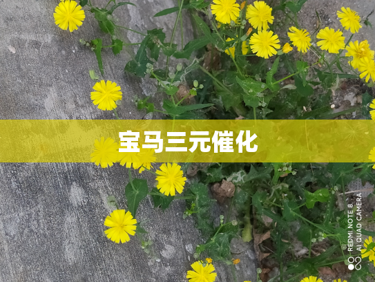 宝马三元催化