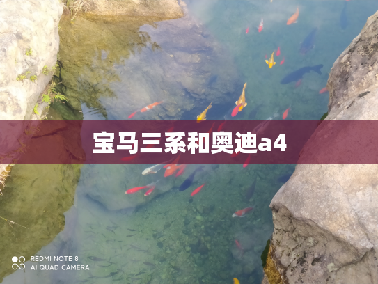 宝马三系和奥迪a4