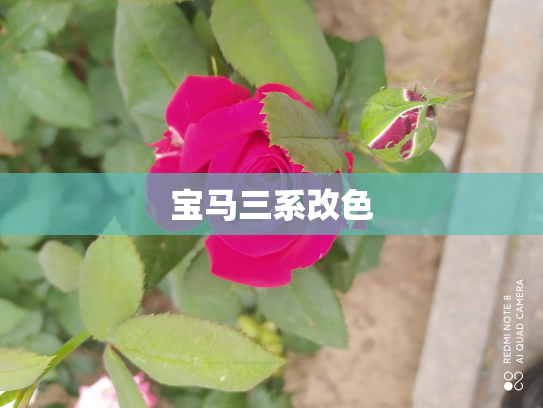 宝马三系改色
