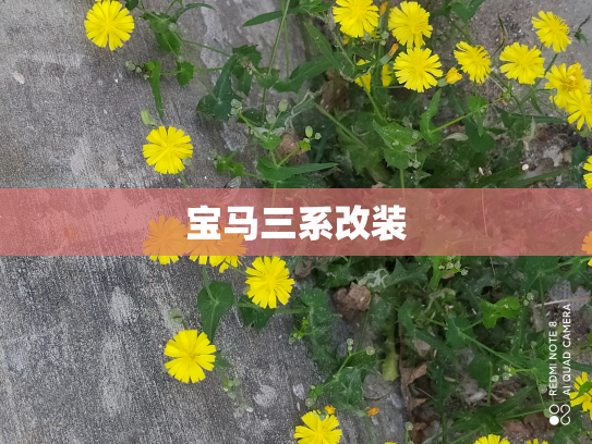 宝马三系改装