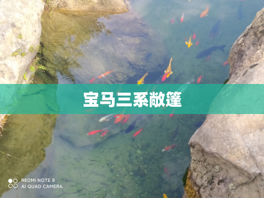 宝马三系敞篷