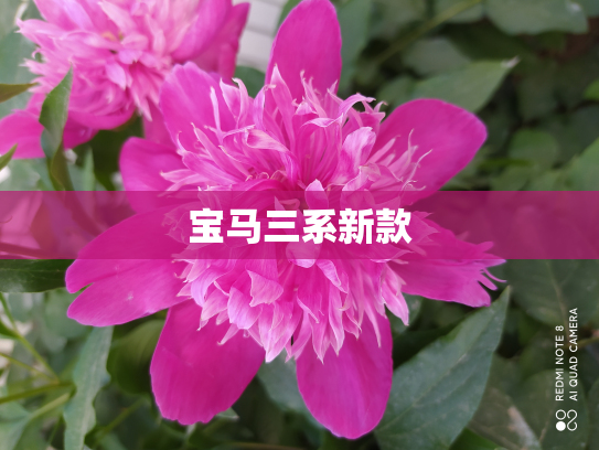 宝马三系新款