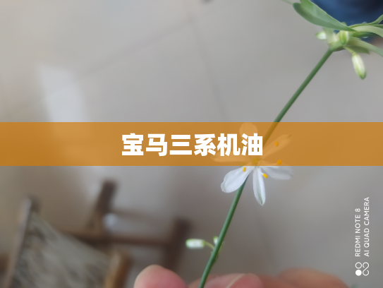 宝马三系机油