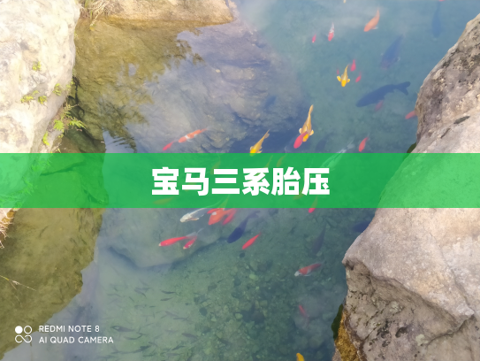 宝马三系胎压