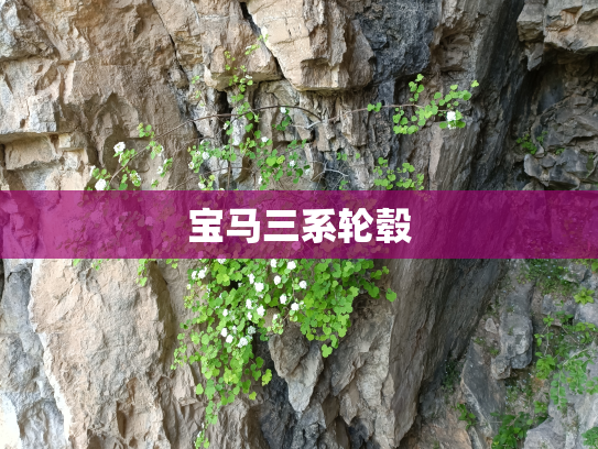 宝马三系轮毂