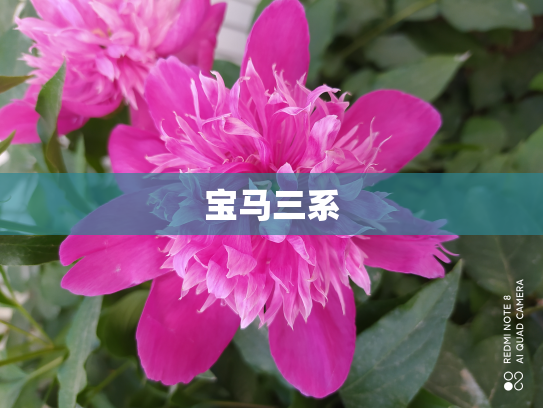 宝马三系