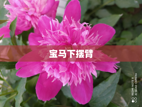 宝马下摆臂