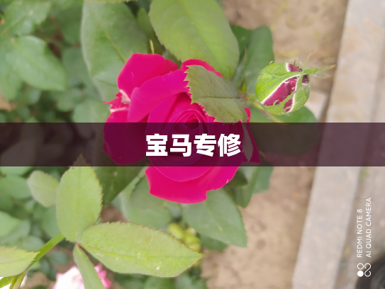 宝马专修