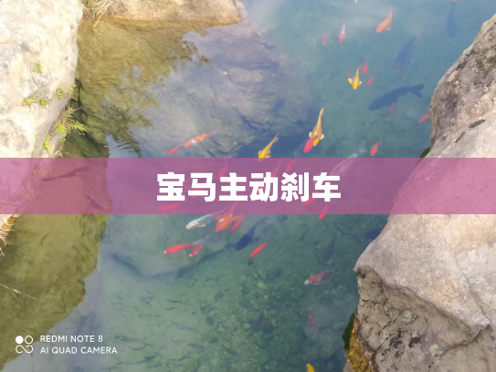宝马主动刹车