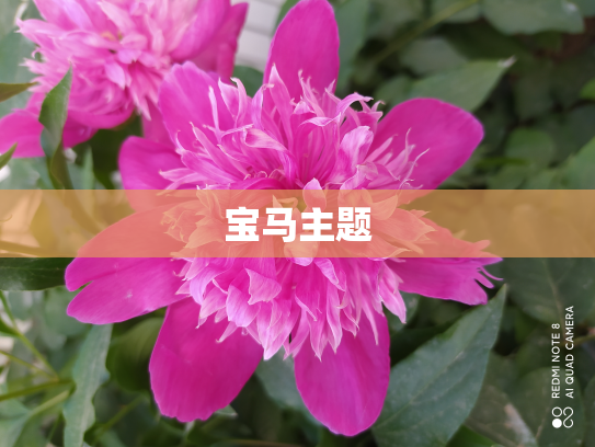 宝马主题