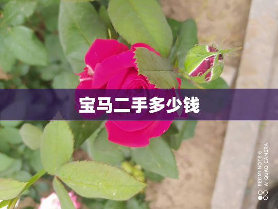 宝马二手多少钱