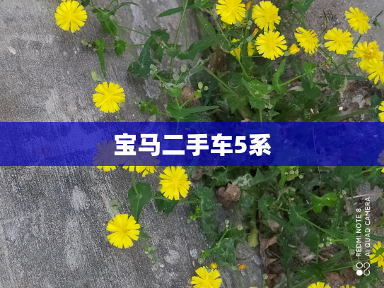 宝马二手车5系