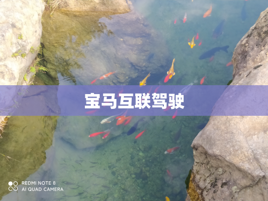 宝马互联驾驶