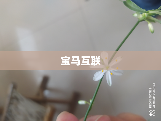 宝马互联