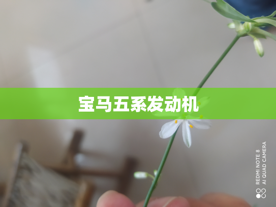 宝马五系发动机