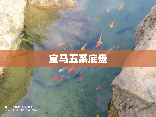 宝马五系底盘