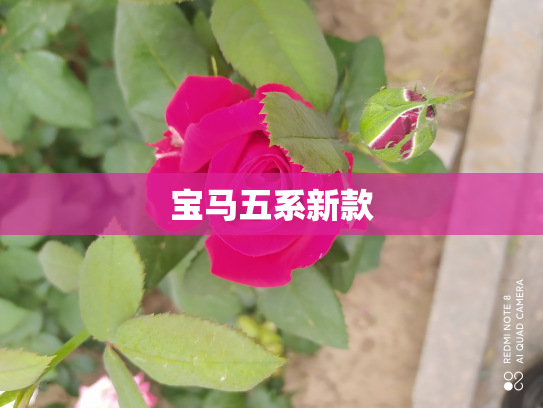 宝马五系新款