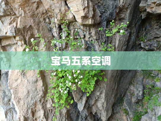 宝马五系空调