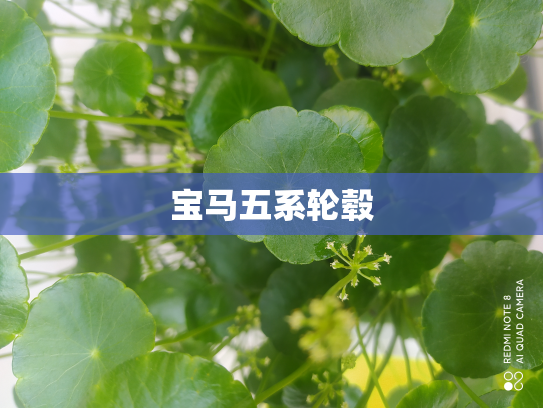 宝马五系轮毂