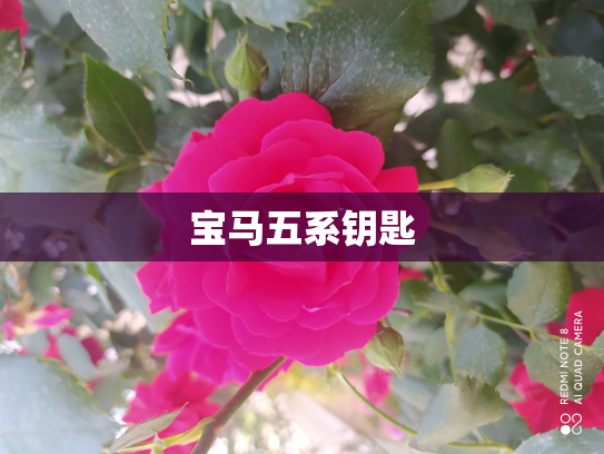 宝马五系钥匙