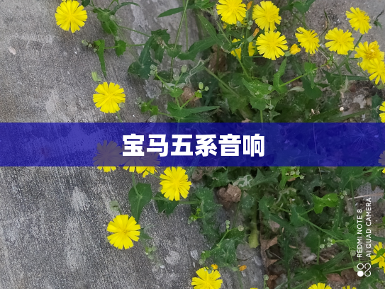 宝马五系音响