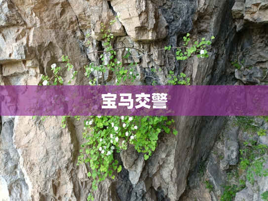 宝马交警