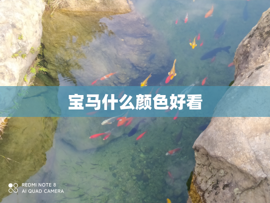 宝马什么颜色好看