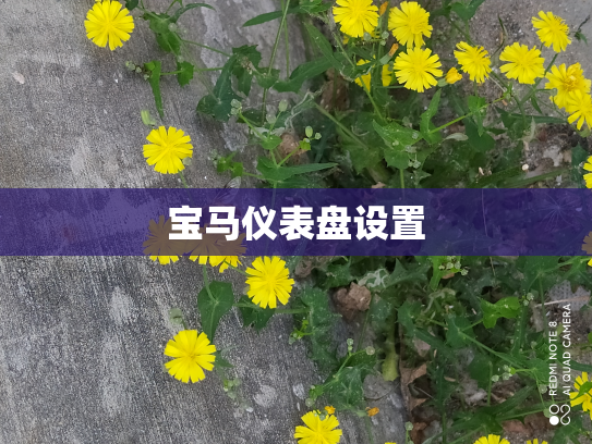 宝马仪表盘设置