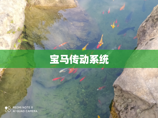 宝马传动系统