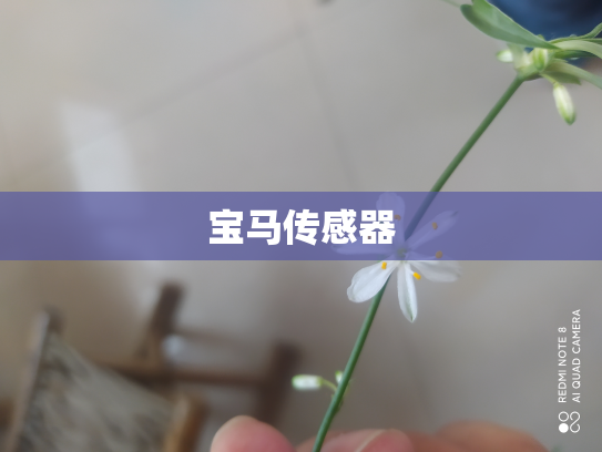 宝马传感器