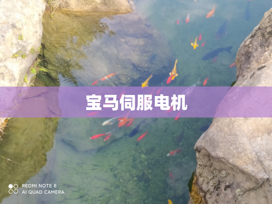 宝马伺服电机