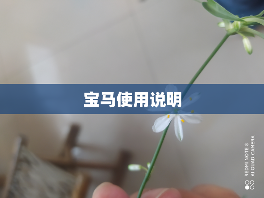 宝马使用说明