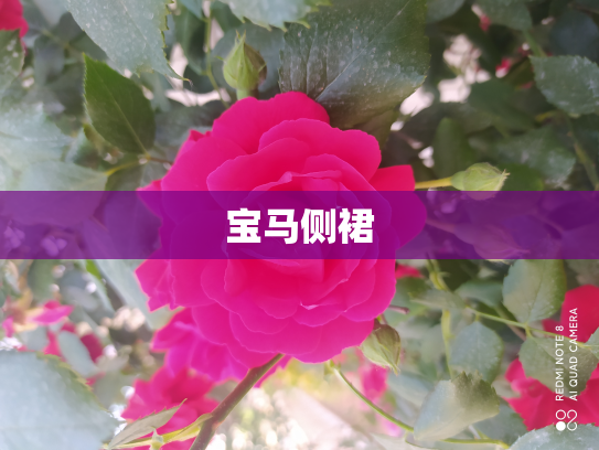 宝马侧裙