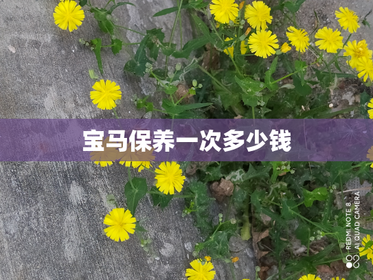宝马保养一次多少钱