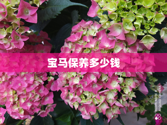 宝马保养多少钱