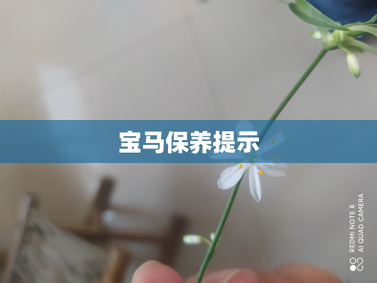 宝马保养提示