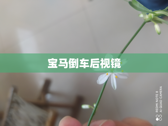 宝马倒车后视镜