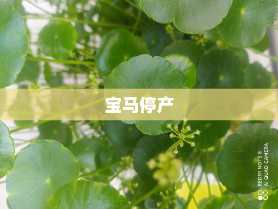 宝马停产
