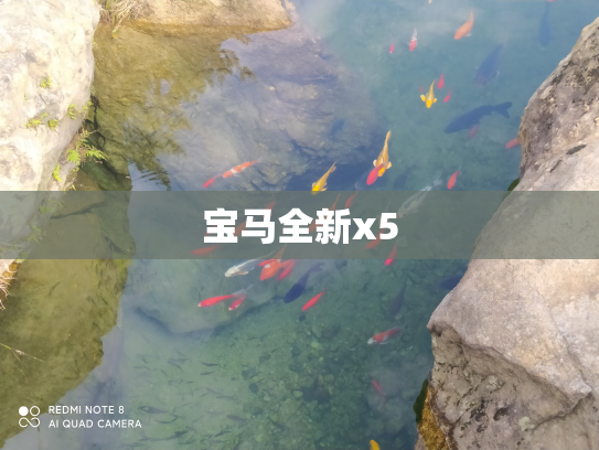 宝马全新x5