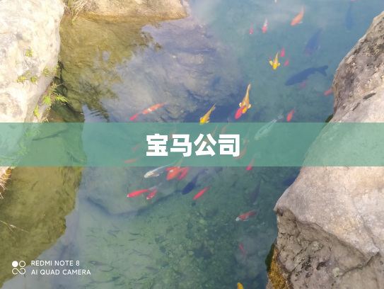宝马公司