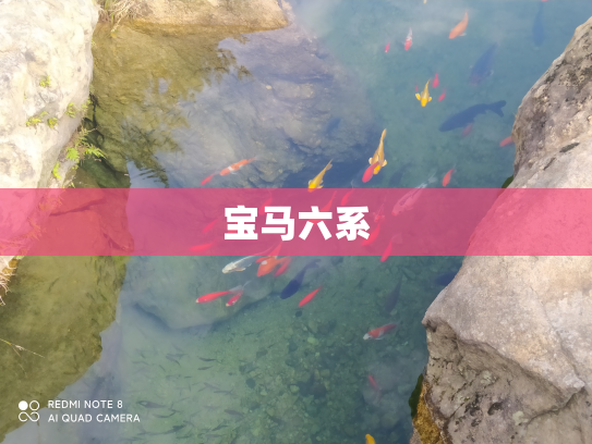 宝马六系