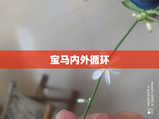 宝马内外循环