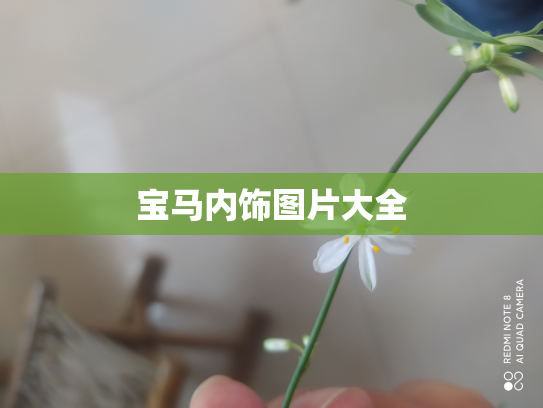 宝马内饰图片大全