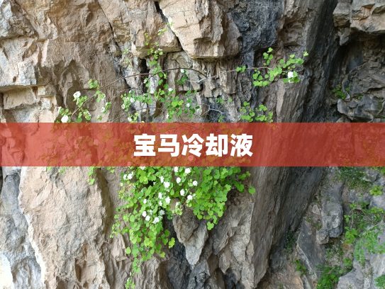宝马冷却液