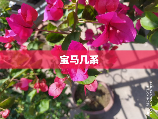 宝马几系
