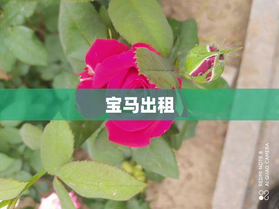 宝马出租