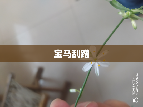 宝马刮蹭