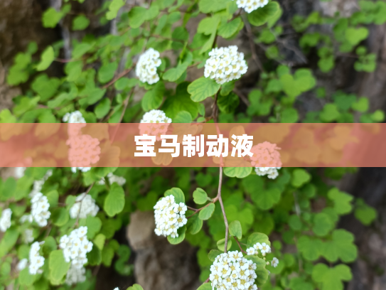宝马制动液